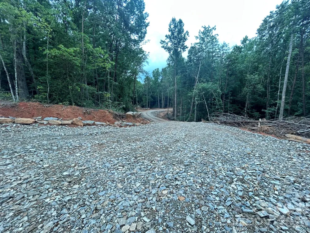 TBD Lotus Drive #20 Nebo, NC 28761