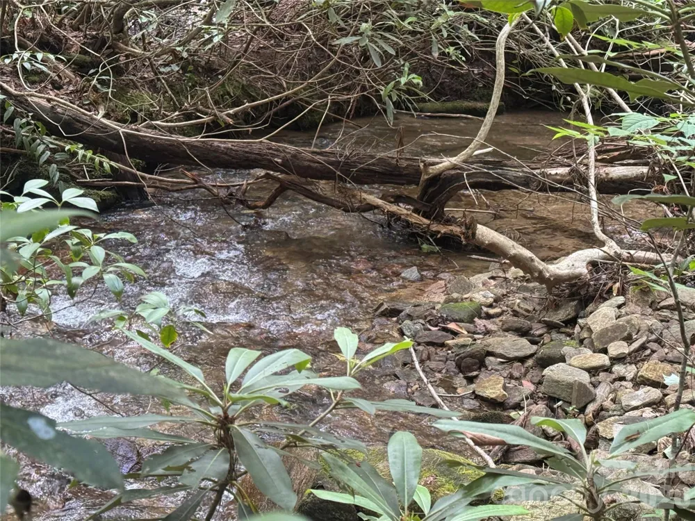 Lot 45 Abby Falls Drive Rosman, NC 28772