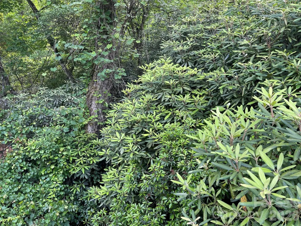 Lot 45 Abby Falls Drive Rosman, NC 28772