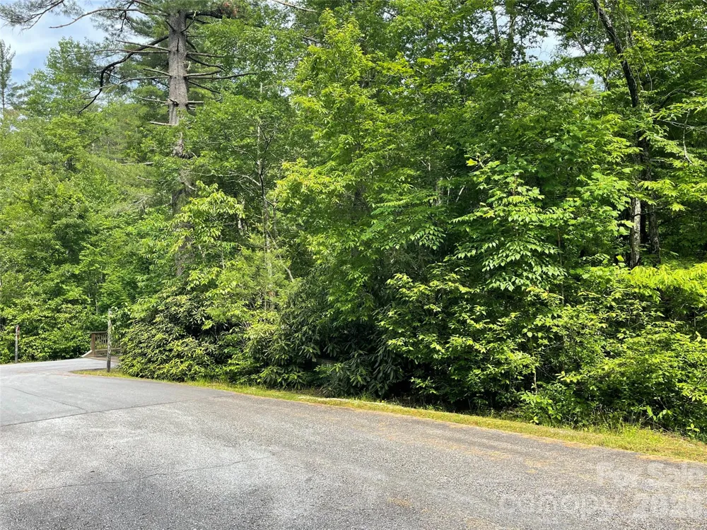 Lot 45 Abby Falls Drive Rosman, NC 28772