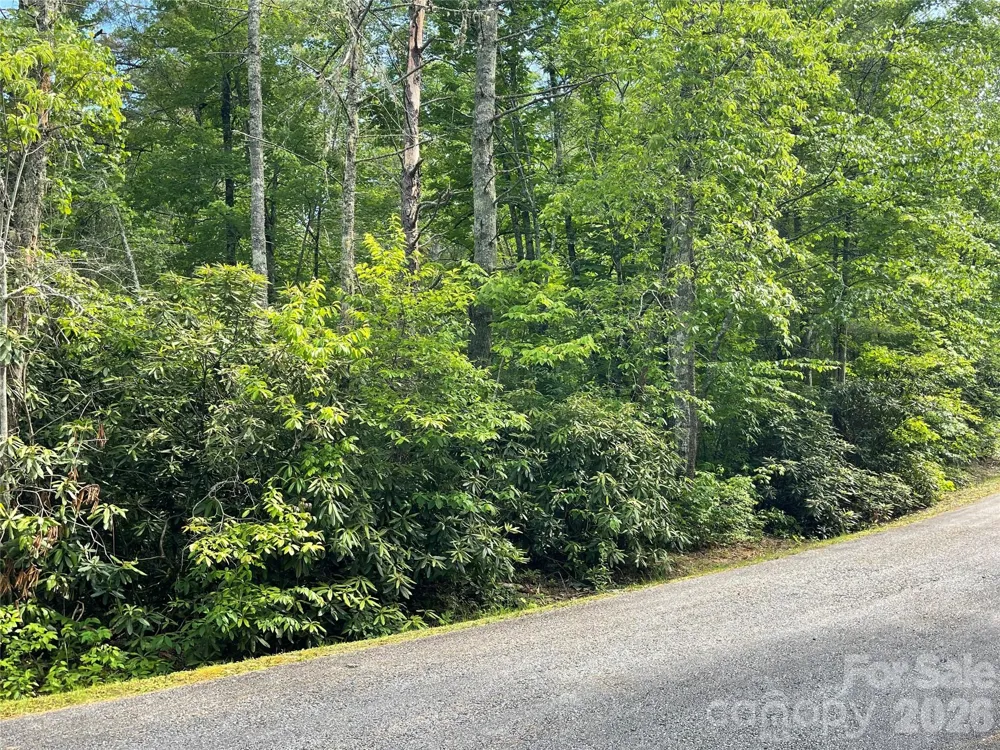 Lot 45 Abby Falls Drive Rosman, NC 28772