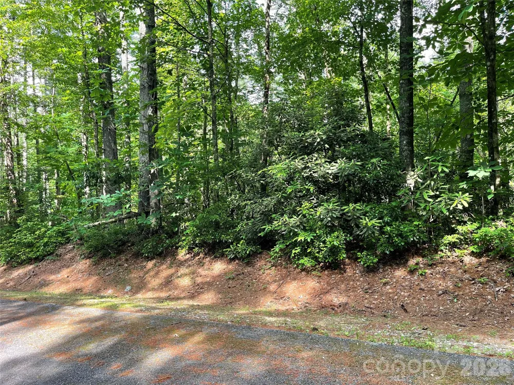 Lot 45 Abby Falls Drive Rosman, NC 28772