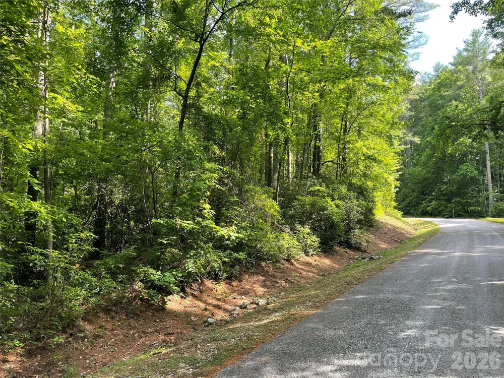 Lot 45 Abby Falls Drive Rosman, NC 28772