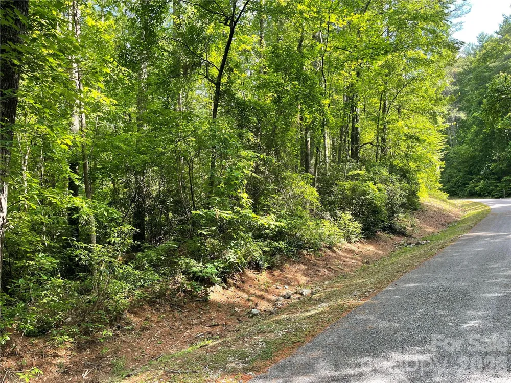 Lot 45 Abby Falls Drive Rosman, NC 28772