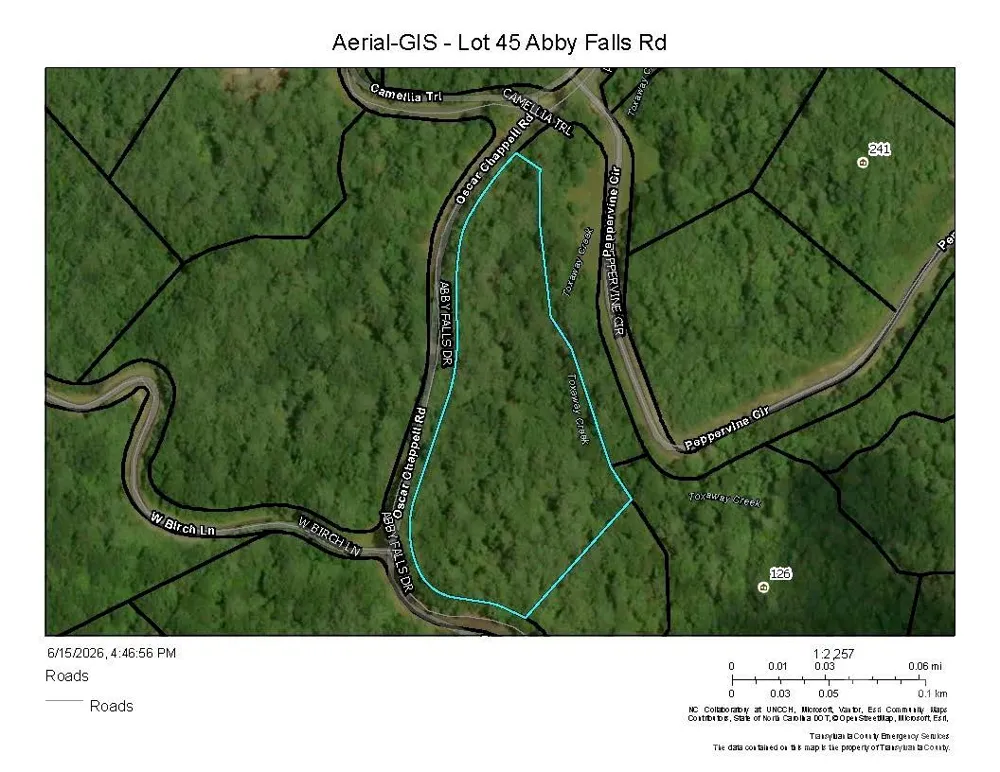 Lot 45 Abby Falls Drive Rosman, NC 28772