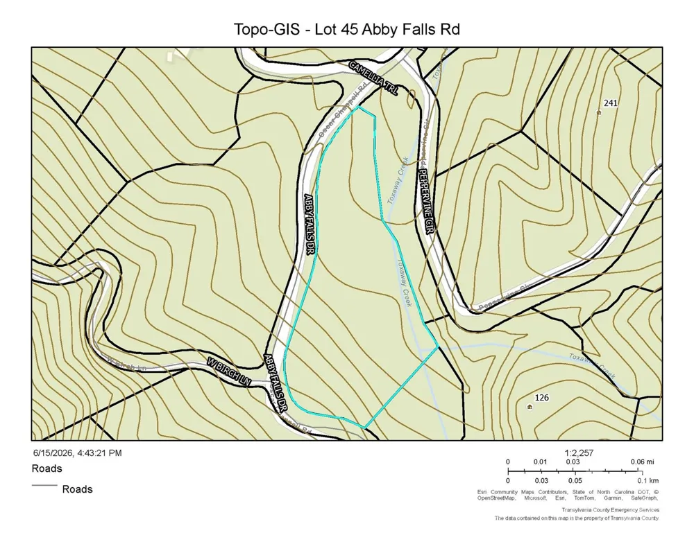Lot 45 Abby Falls Drive Rosman, NC 28772