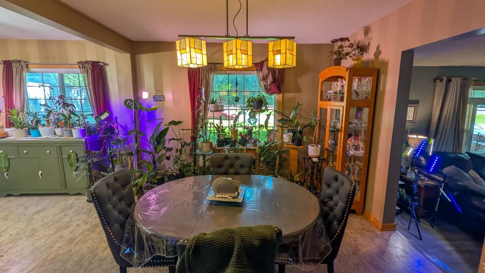 350 Thurman Street Wells, MN 56097