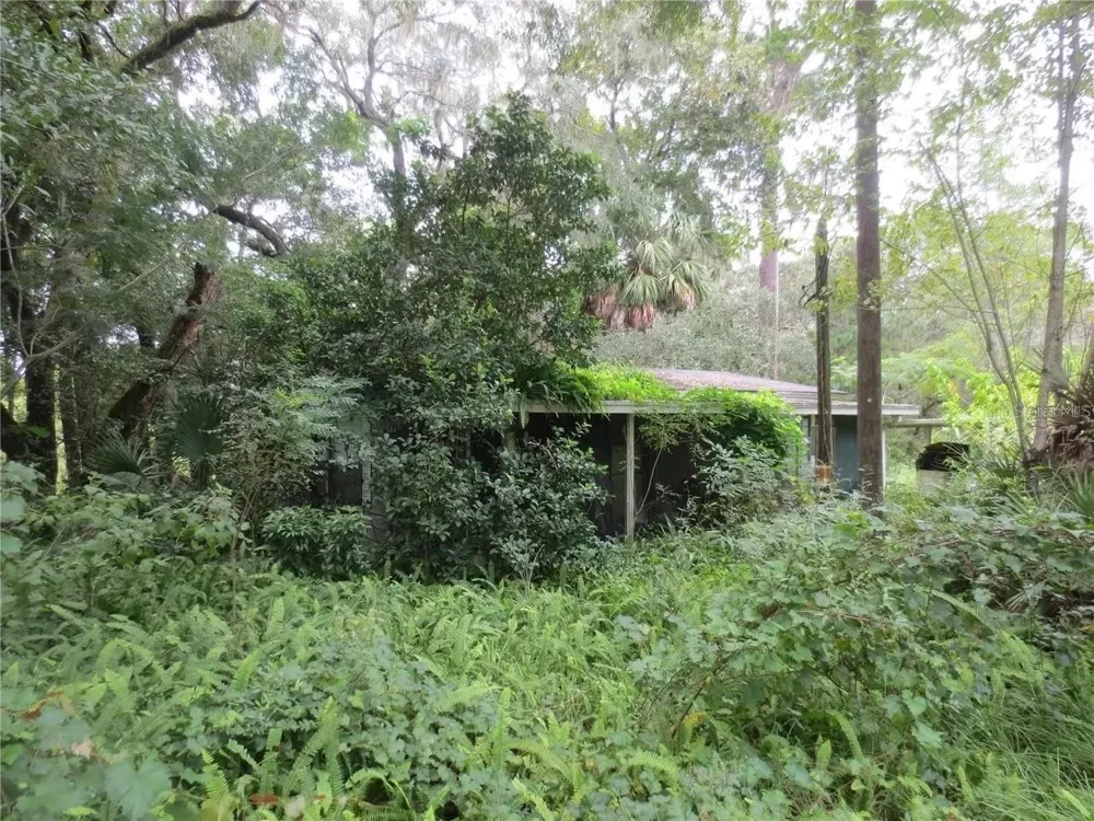 16865 SE 3RD PLACE Silver Springs, FL 34488