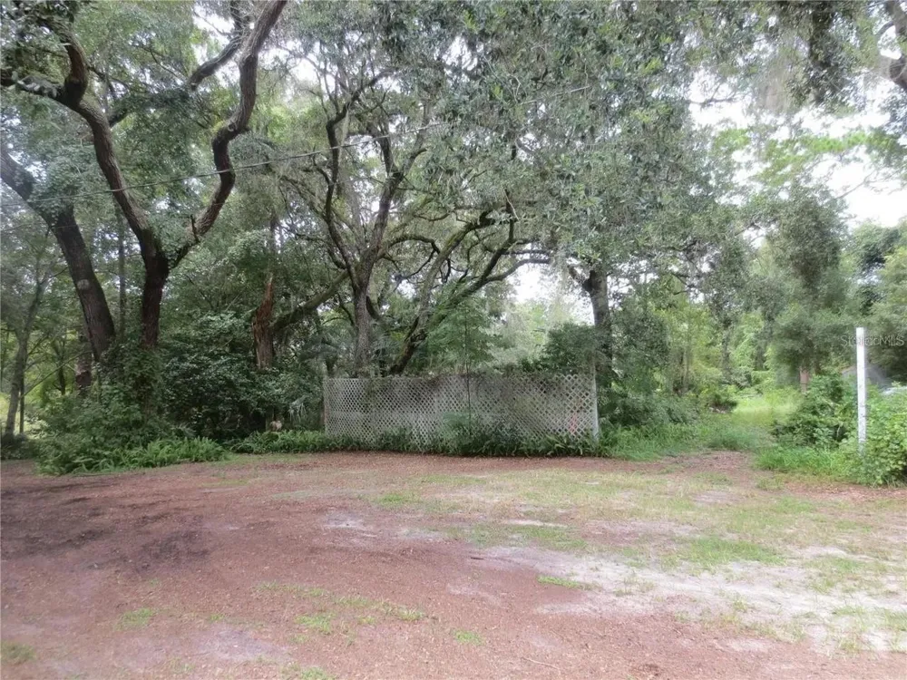 16865 SE 3RD PLACE Silver Springs, FL 34488