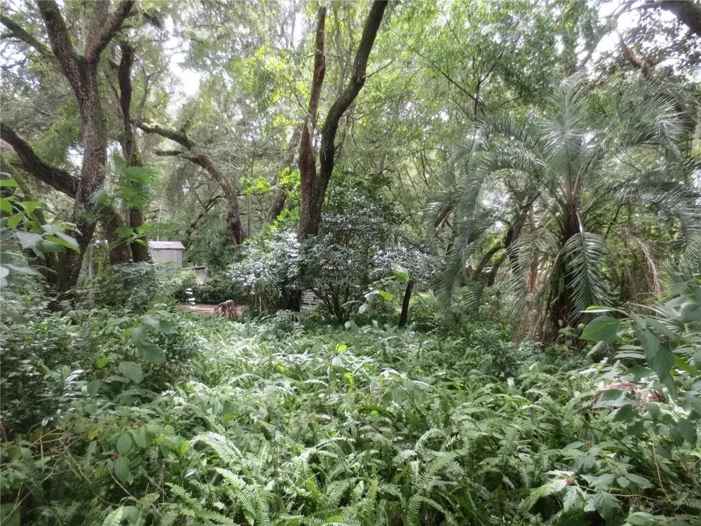 16865 SE 3RD PLACE Silver Springs, FL 34488