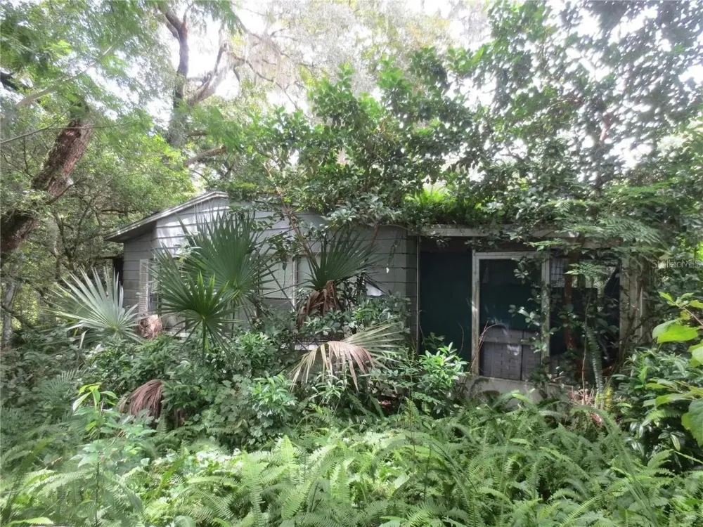 16865 SE 3RD PLACE Silver Springs, FL 34488