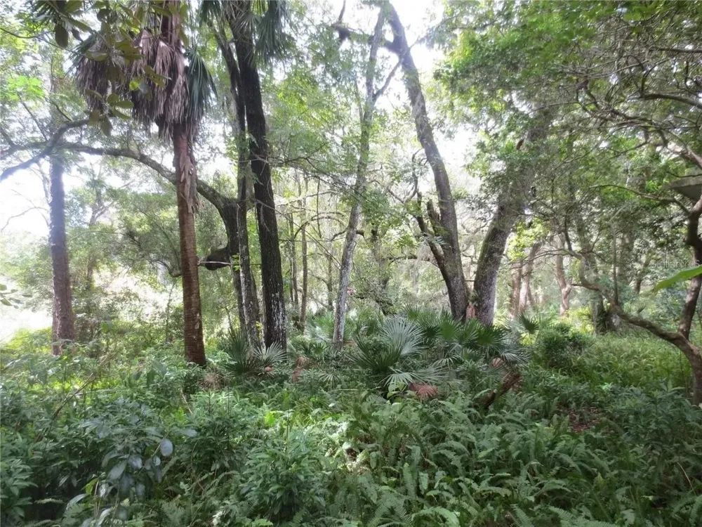 16865 SE 3RD PLACE Silver Springs, FL 34488