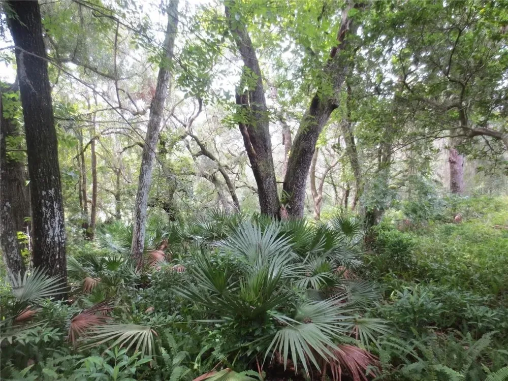 16865 SE 3RD PLACE Silver Springs, FL 34488