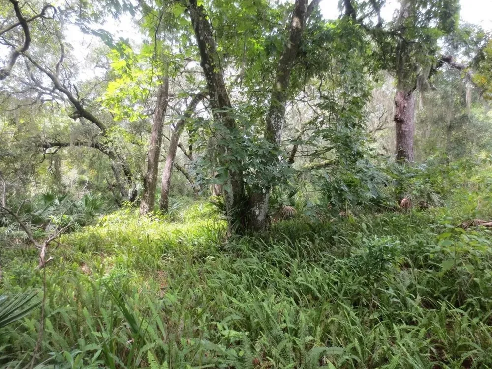 16865 SE 3RD PLACE Silver Springs, FL 34488