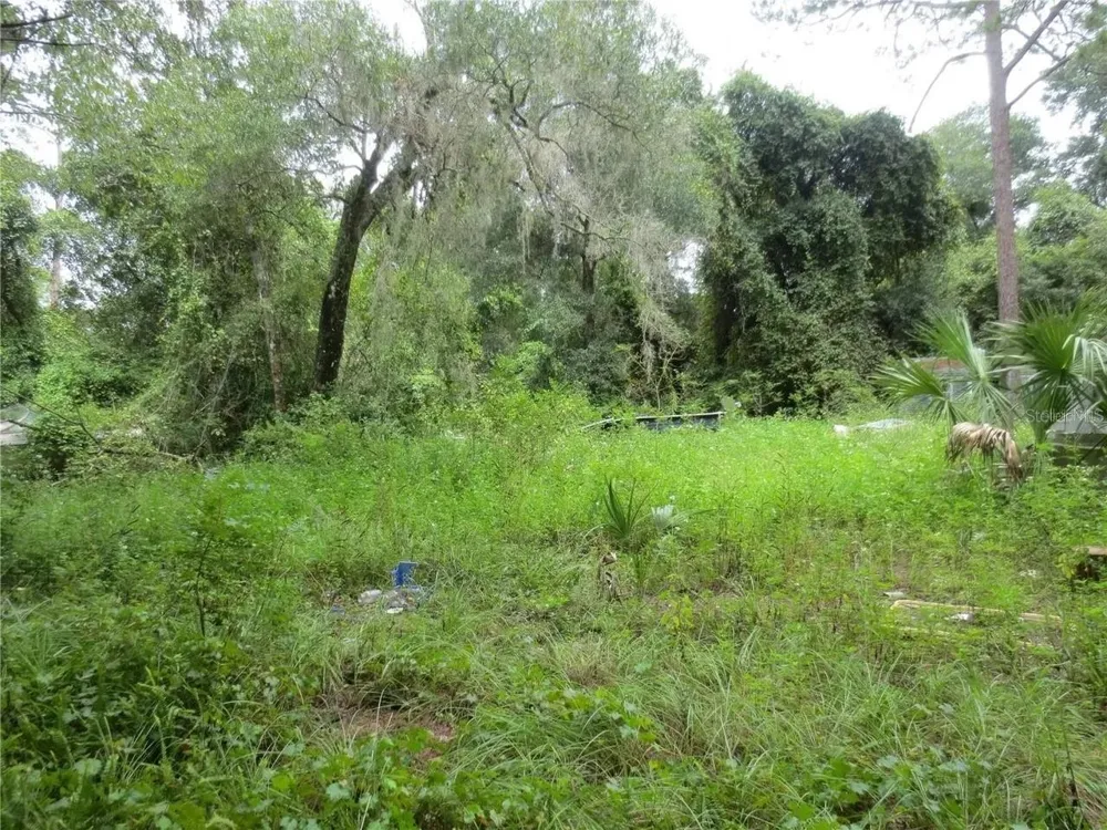 16865 SE 3RD PLACE Silver Springs, FL 34488