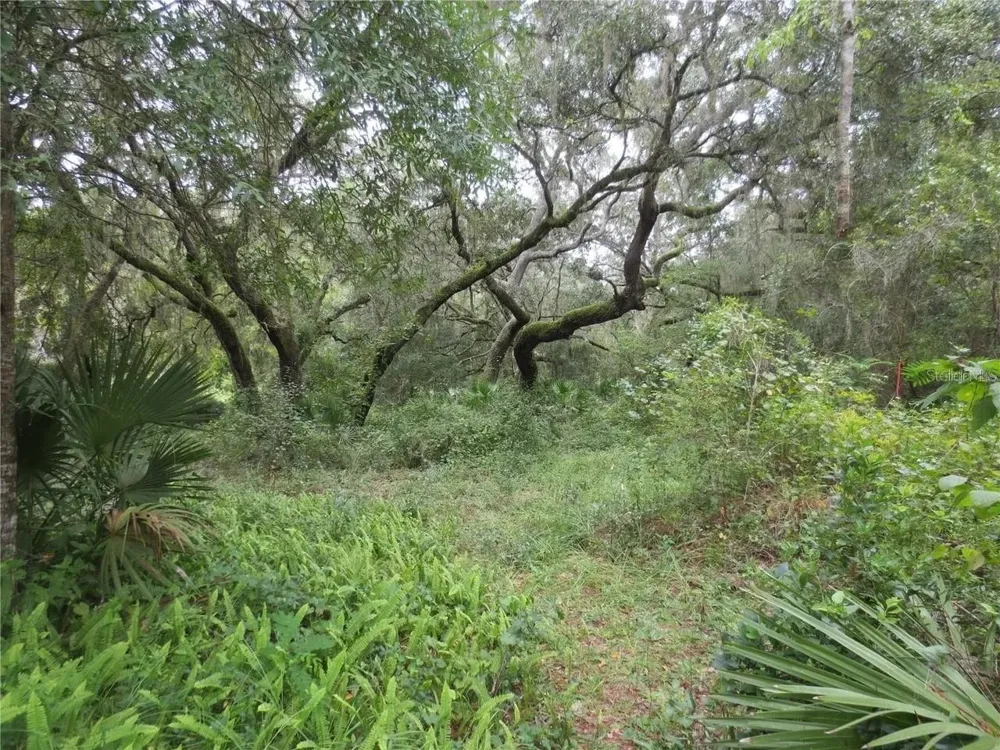 16865 SE 3RD PLACE Silver Springs, FL 34488