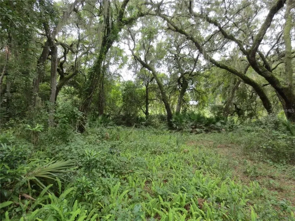 16865 SE 3RD PLACE Silver Springs, FL 34488