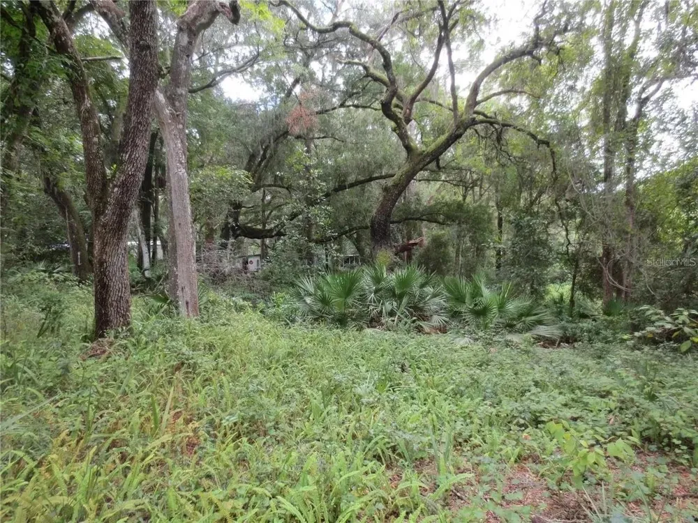 16865 SE 3RD PLACE Silver Springs, FL 34488