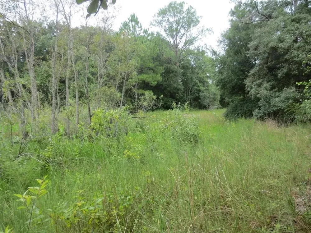 16865 SE 3RD PLACE Silver Springs, FL 34488