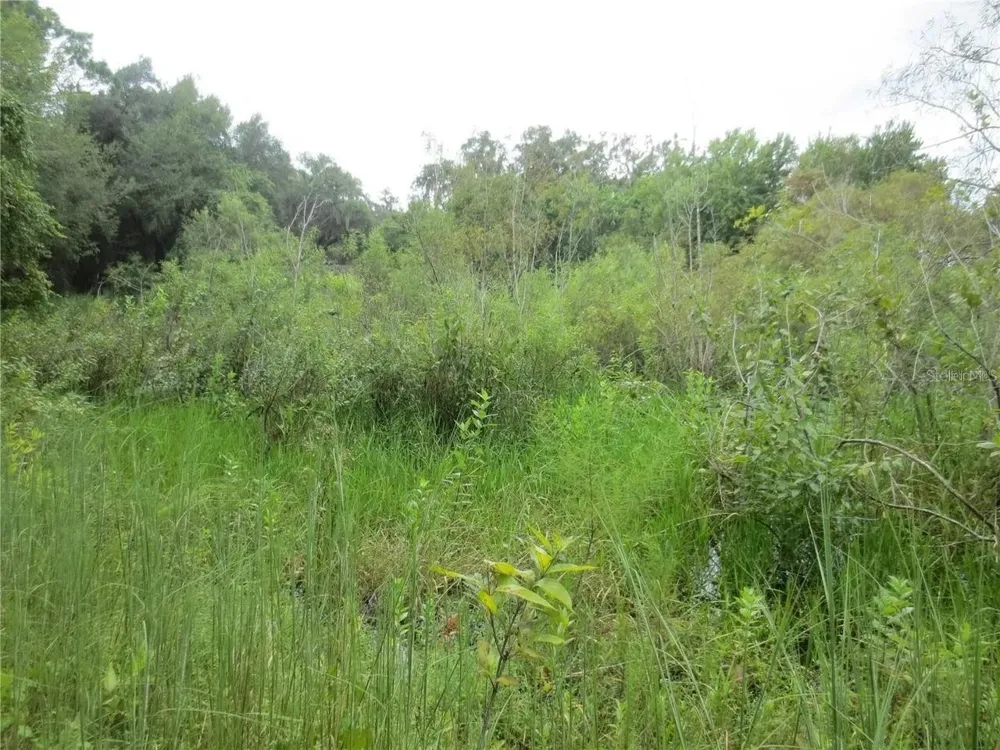 16865 SE 3RD PLACE Silver Springs, FL 34488