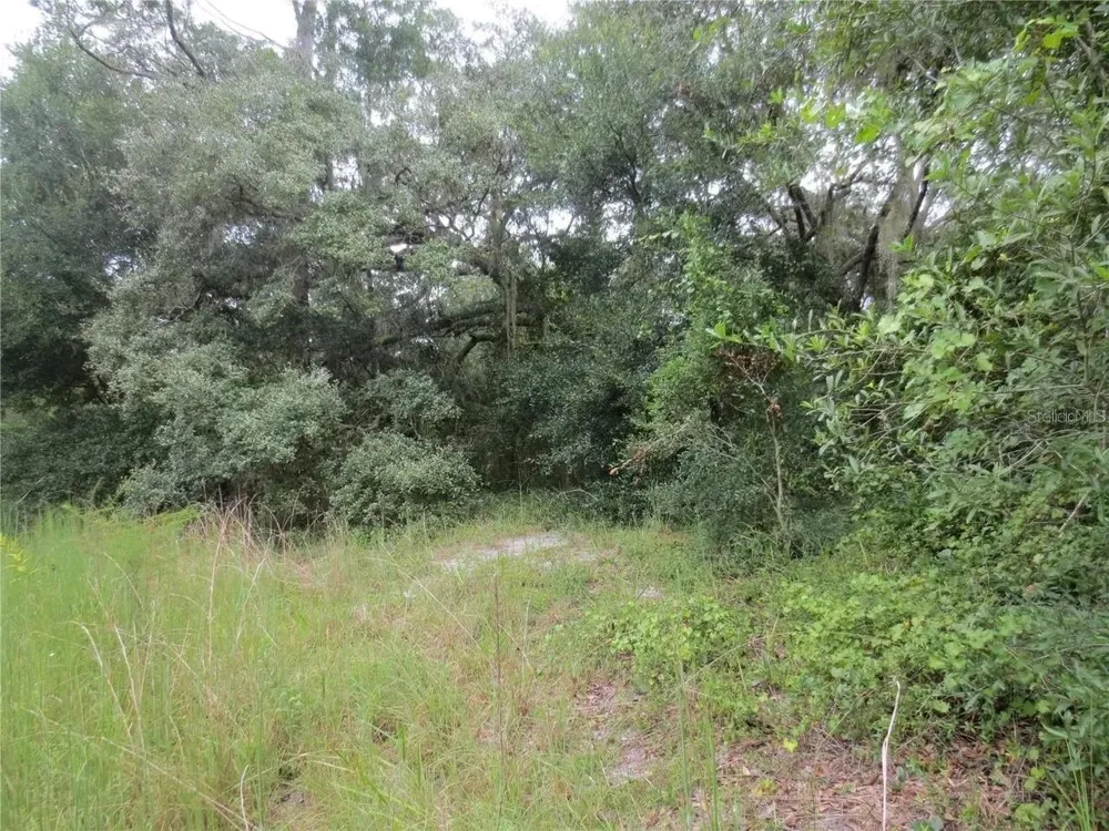 16865 SE 3RD PLACE Silver Springs, FL 34488