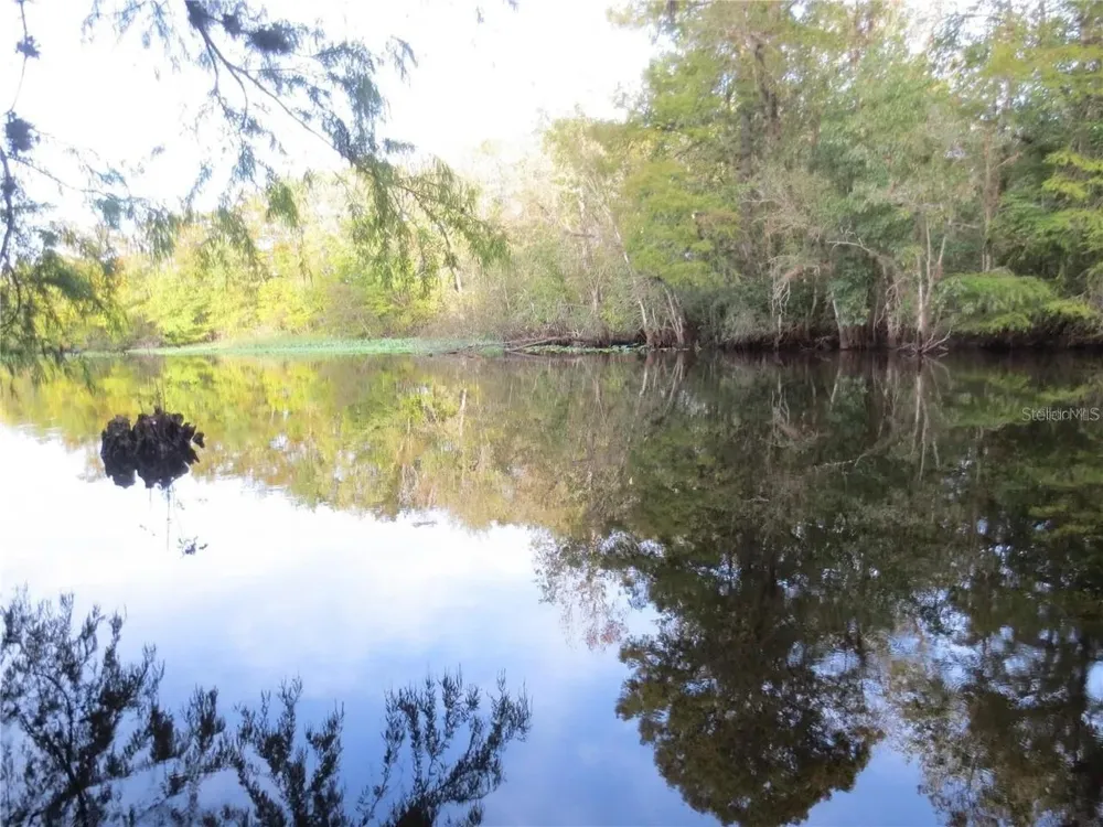 16865 SE 3RD PLACE Silver Springs, FL 34488