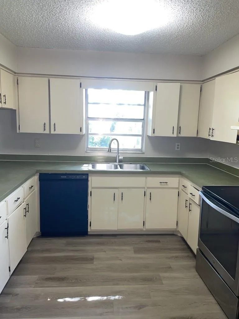10910 SE 51ST COURT Belleview, FL 34420