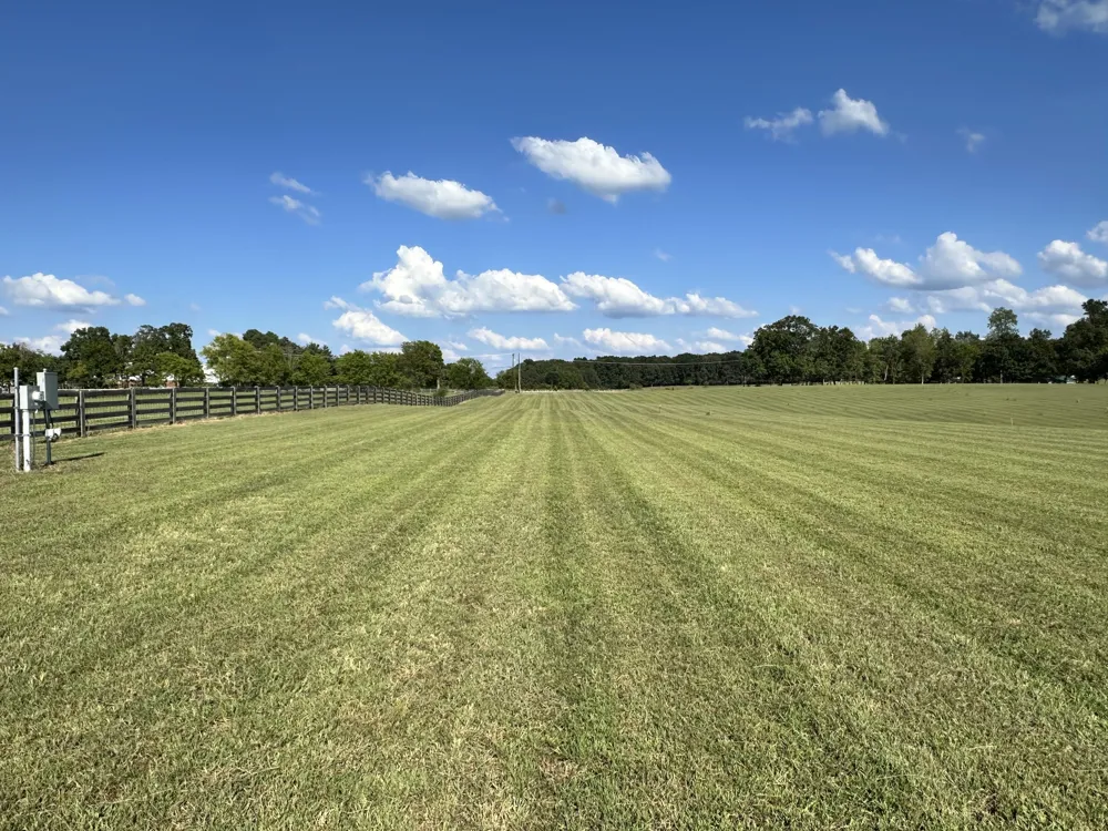 7509 Pinewood Road Primm Springs, TN 38476