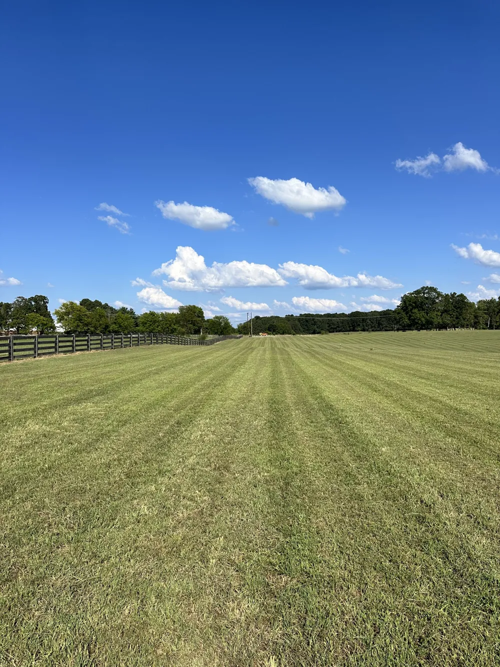 7509 Pinewood Road Primm Springs, TN 38476