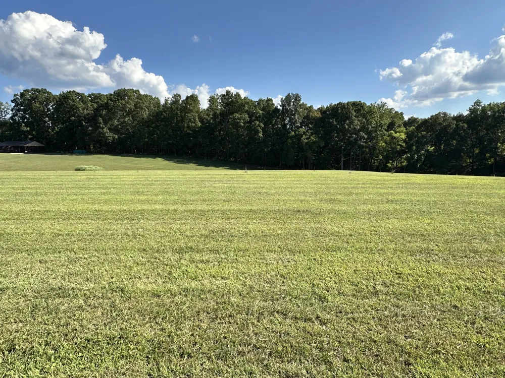 7509 Pinewood Road Primm Springs, TN 38476