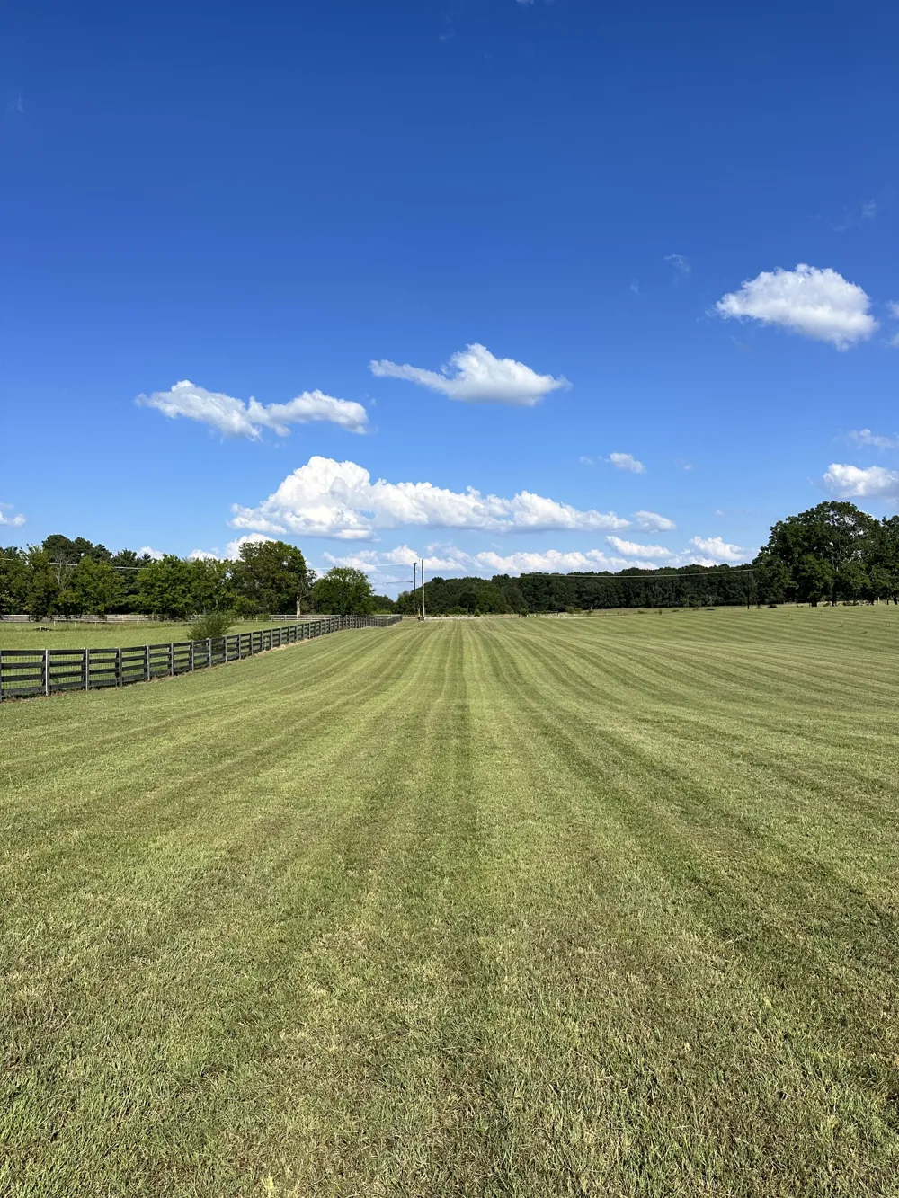 7509 Pinewood Road Primm Springs, TN 38476