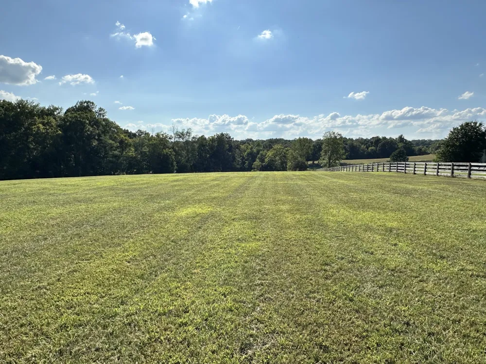 7509 Pinewood Road Primm Springs, TN 38476