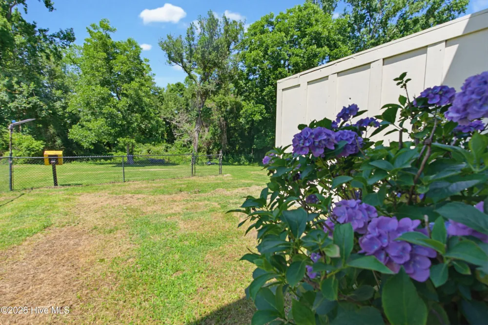 107 Olan Drive Lumberton, NC 28360