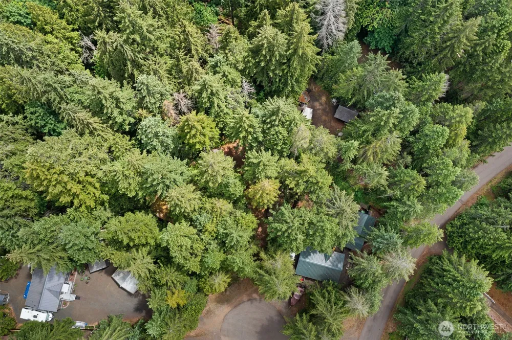 20 Mount Jupiter Court Hoodsport, WA 98548