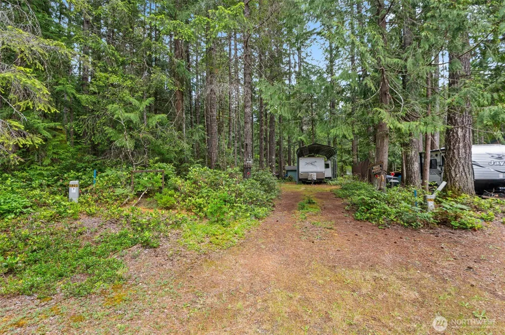 20 Mount Jupiter Court Hoodsport, WA 98548
