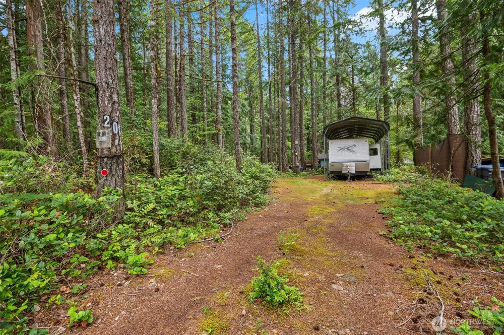 20 Mount Jupiter Court Hoodsport, WA 98548