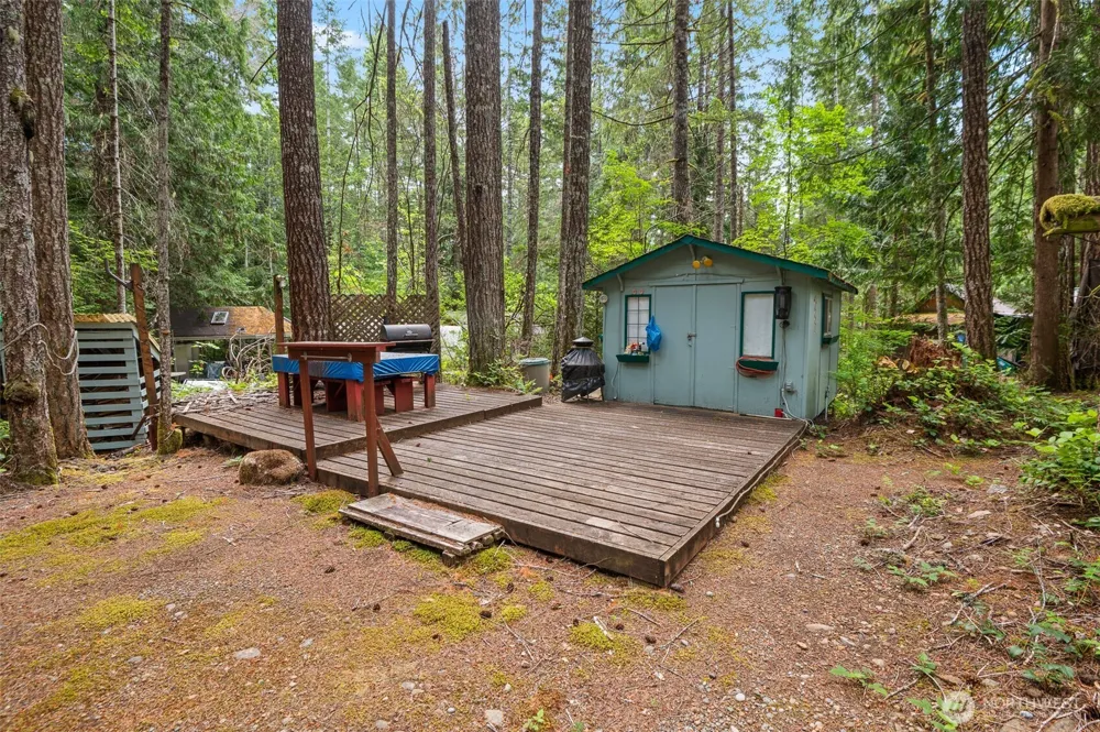 20 Mount Jupiter Court Hoodsport, WA 98548