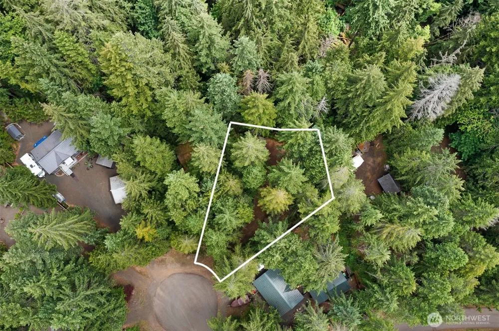 20 Mount Jupiter Court Hoodsport, WA 98548