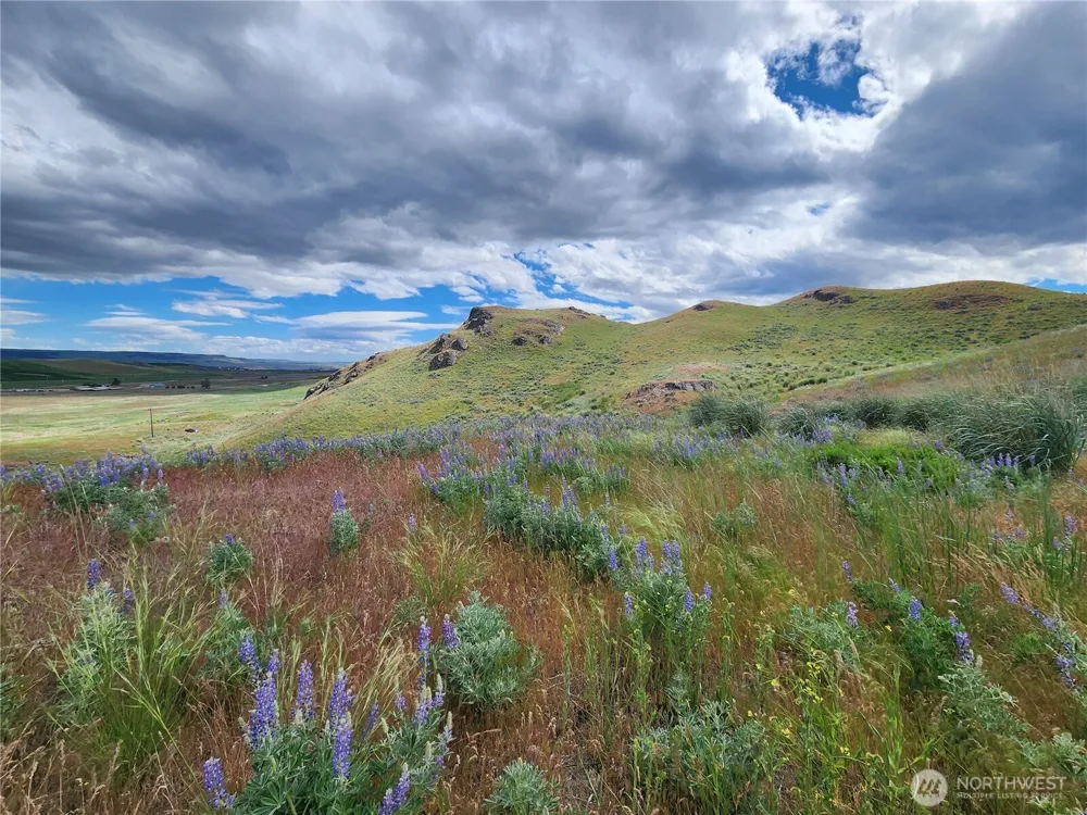 0 xx Old Highway 97 Brewster, WA 98812