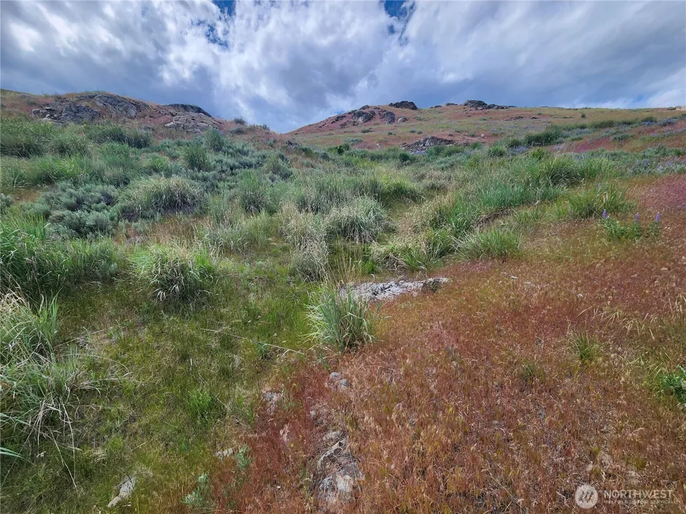 0 xx Old Highway 97 Brewster, WA 98812