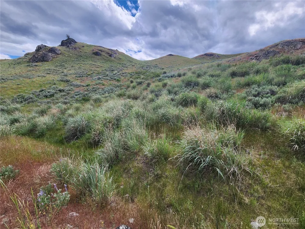 0 xx Old Highway 97 Brewster, WA 98812