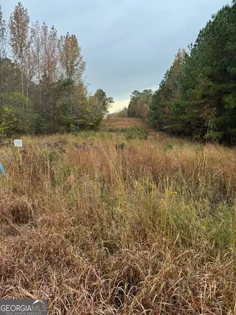 0 MORAN LAKE ROAD Moran Lake RD