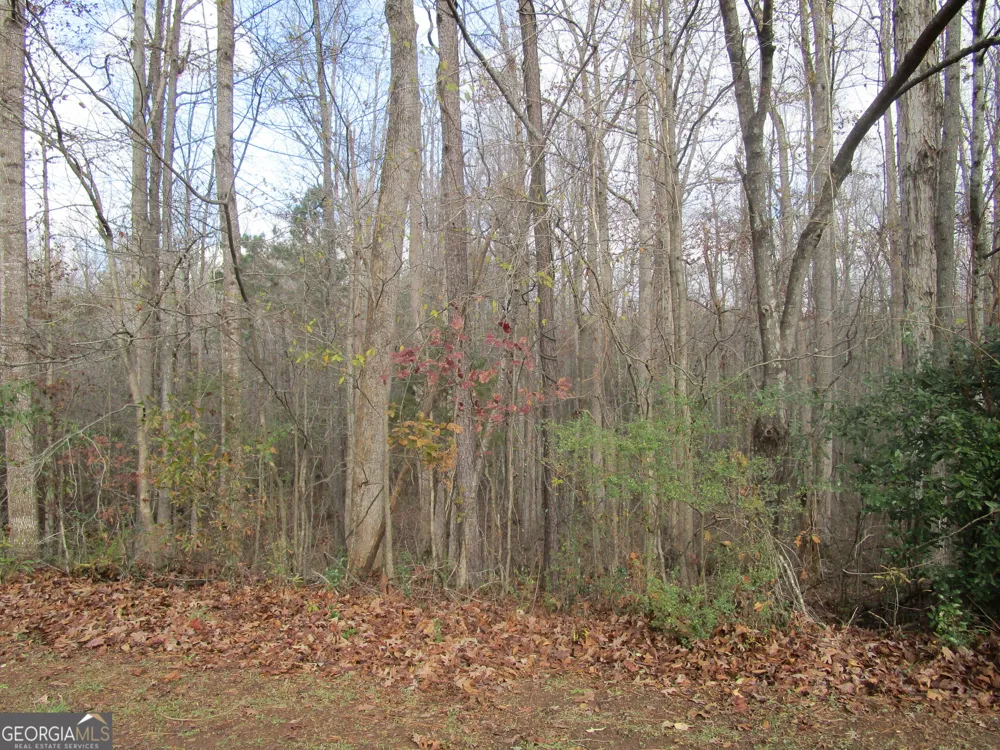 135 Four Oaks DR Griffin, GA 30224
