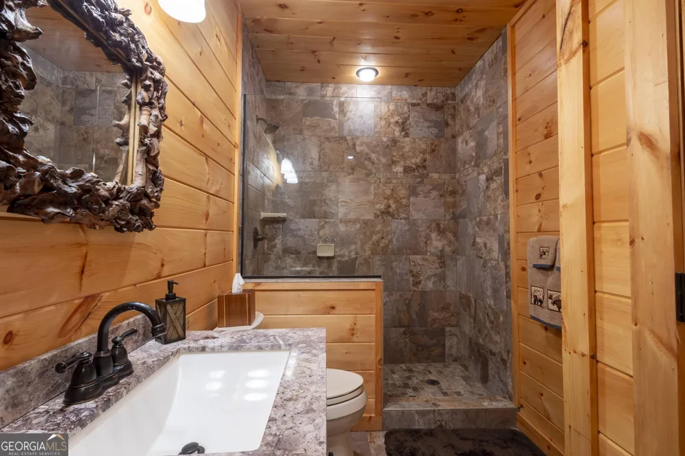 194 Squirrel Chase Morganton, GA 30560