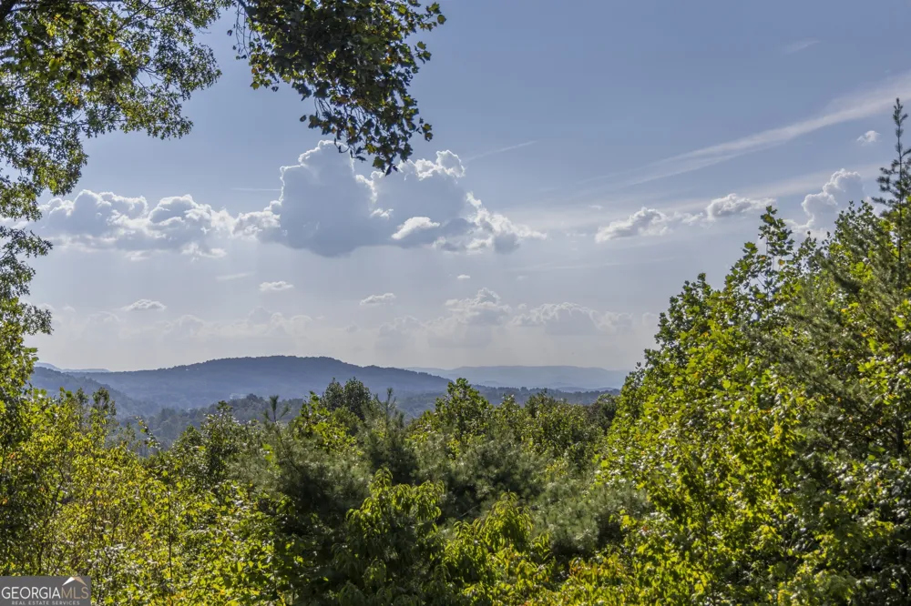 194 Squirrel Chase Morganton, GA 30560