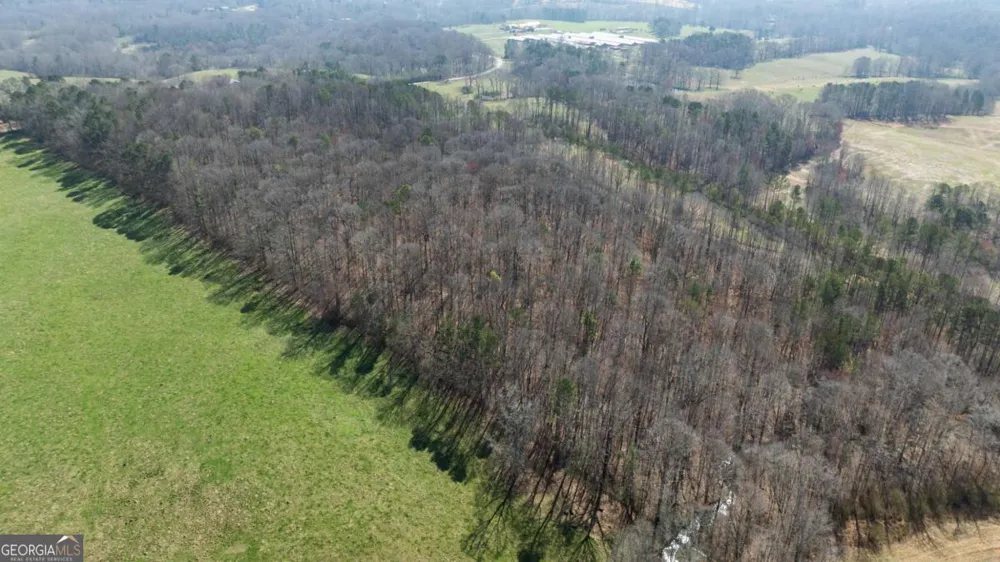 0 Lovvorn Mill RD Bowdon, GA 30108