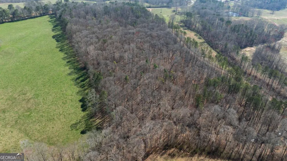 0 Lovvorn Mill RD Bowdon, GA 30108