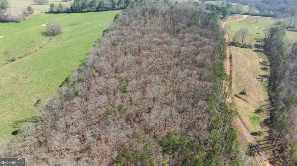 0 Lovvorn Mill RD Bowdon, GA 30108