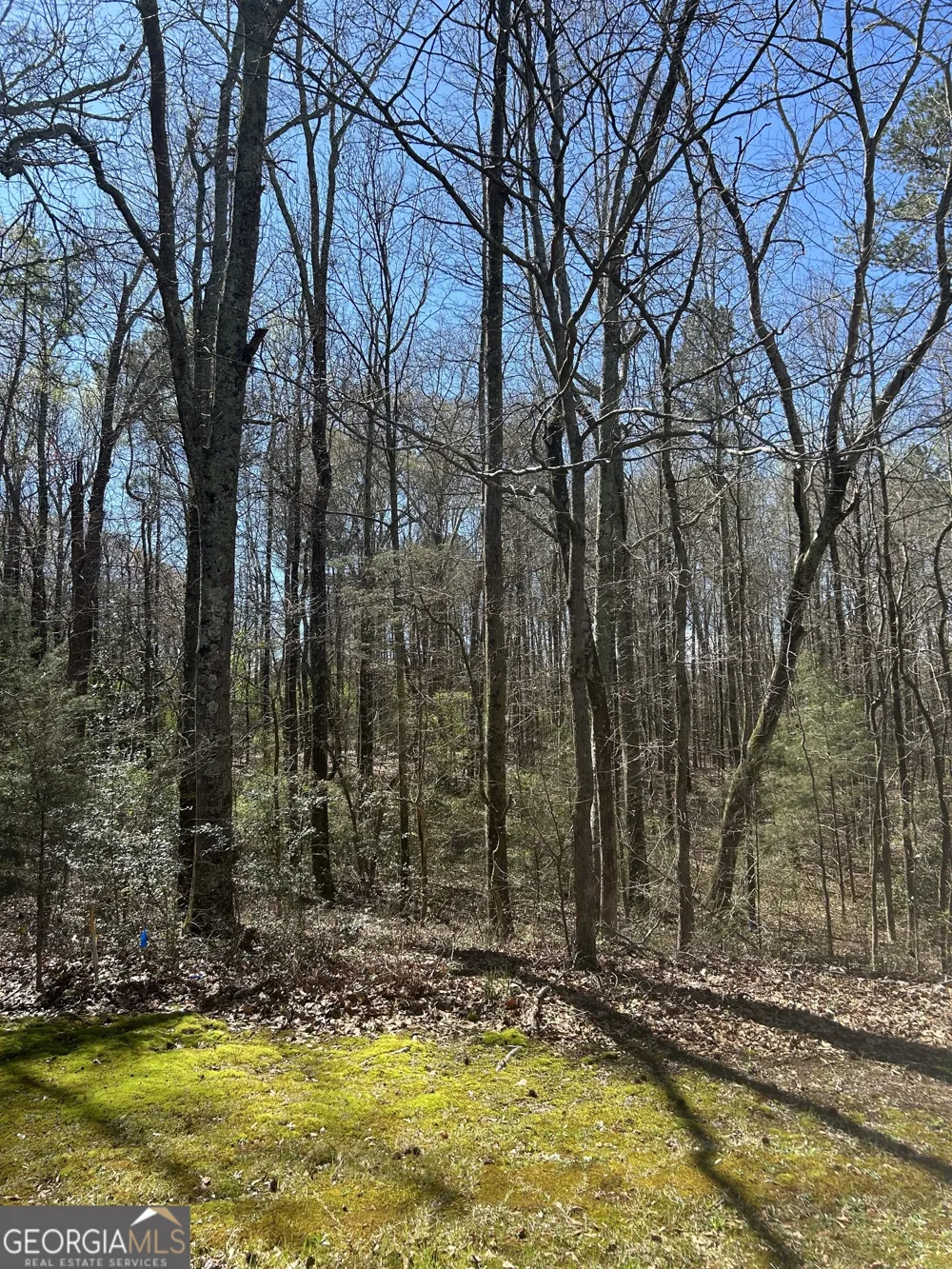 0 Harts Mill RD Hartwell, GA 30643