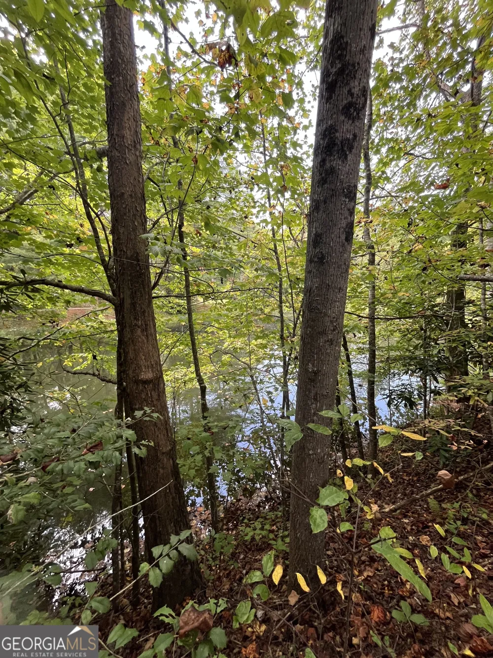 68 Nelson LN Hiawassee, GA 30546